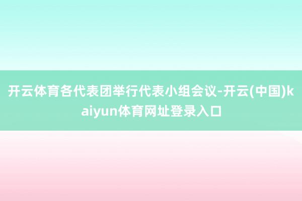 开云体育各代表团举行代表小组会议-开云(中国)kaiyun体育网址登录入口