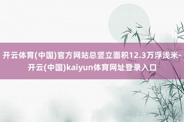 开云体育(中国)官方网站总竖立面积12.3万浮浅米-开云(中国)kaiyun体育网址登录入口