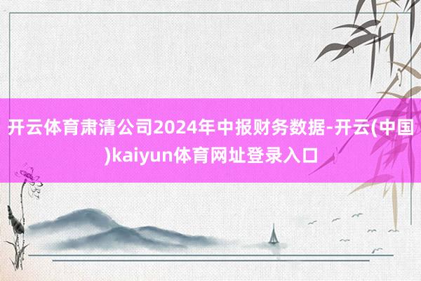 开云体育肃清公司2024年中报财务数据-开云(中国)kaiyun体育网址登录入口