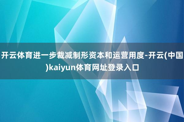 开云体育进一步裁减制形资本和运营用度-开云(中国)kaiyun体育网址登录入口